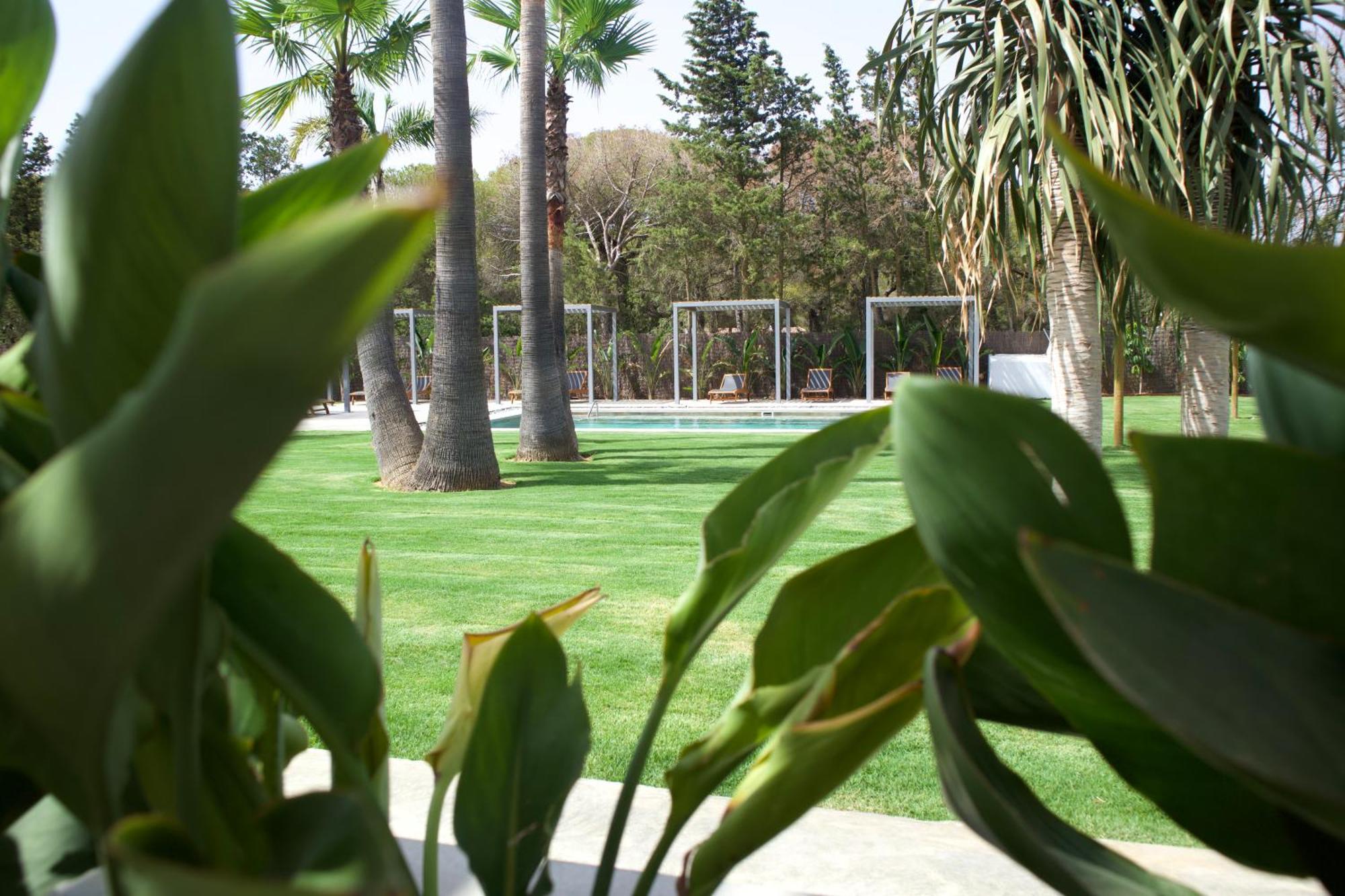 Alojamiento Rural Finca Azucena Suite Conil De La Frontera Εξωτερικό φωτογραφία